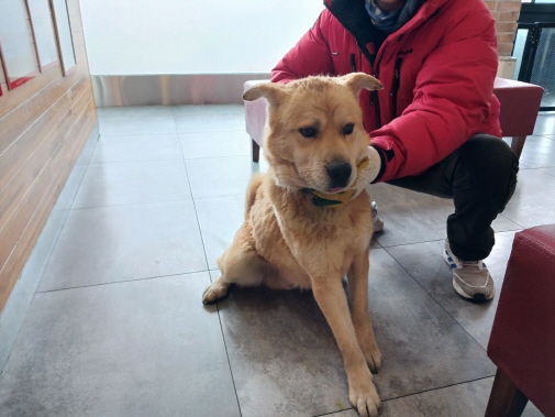 효자동물병원_445464202500051