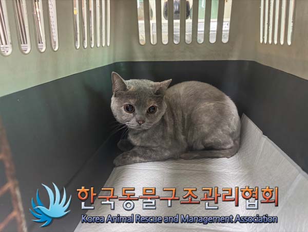 한국동물구조관리협회_441559202500050