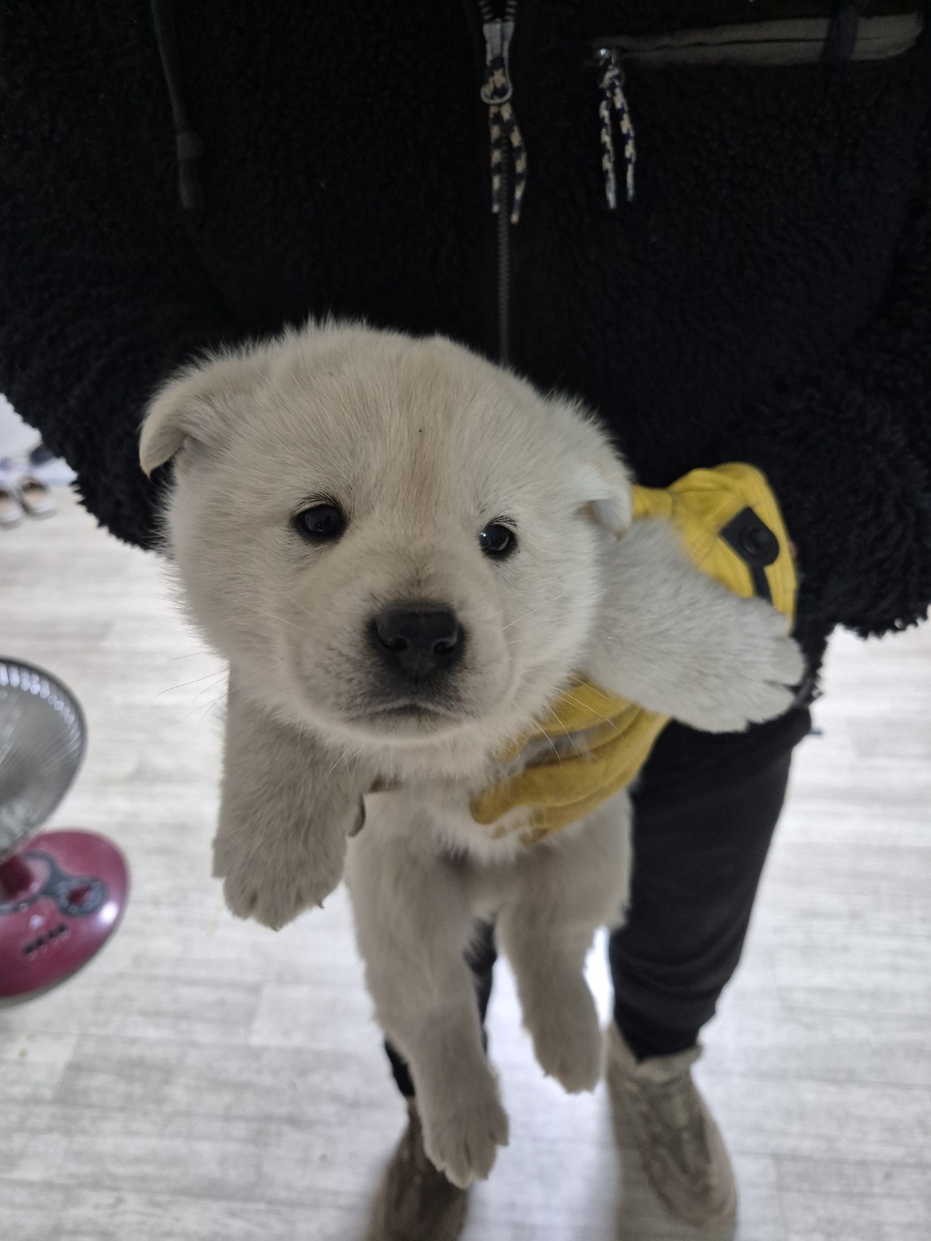 우리동물병원_428356202500050