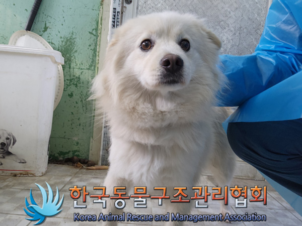 한국동물구조관리협회_441404202500010