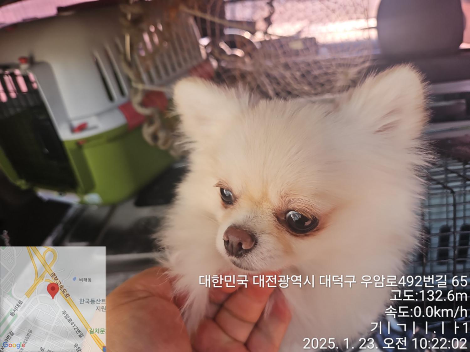 대전동물보호센터_430368202500012