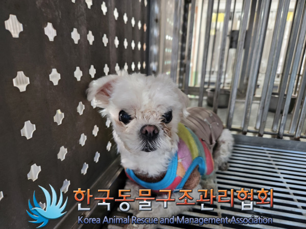 한국동물구조관리협회_441382202500017