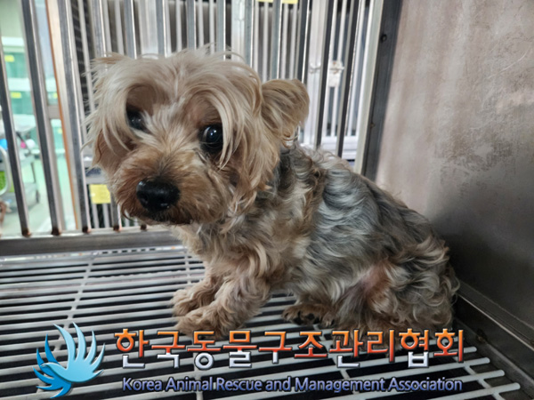 한국동물구조관리협회_411315202500004