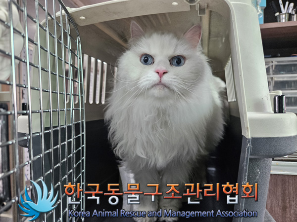 한국동물구조관리협회_411301202500001