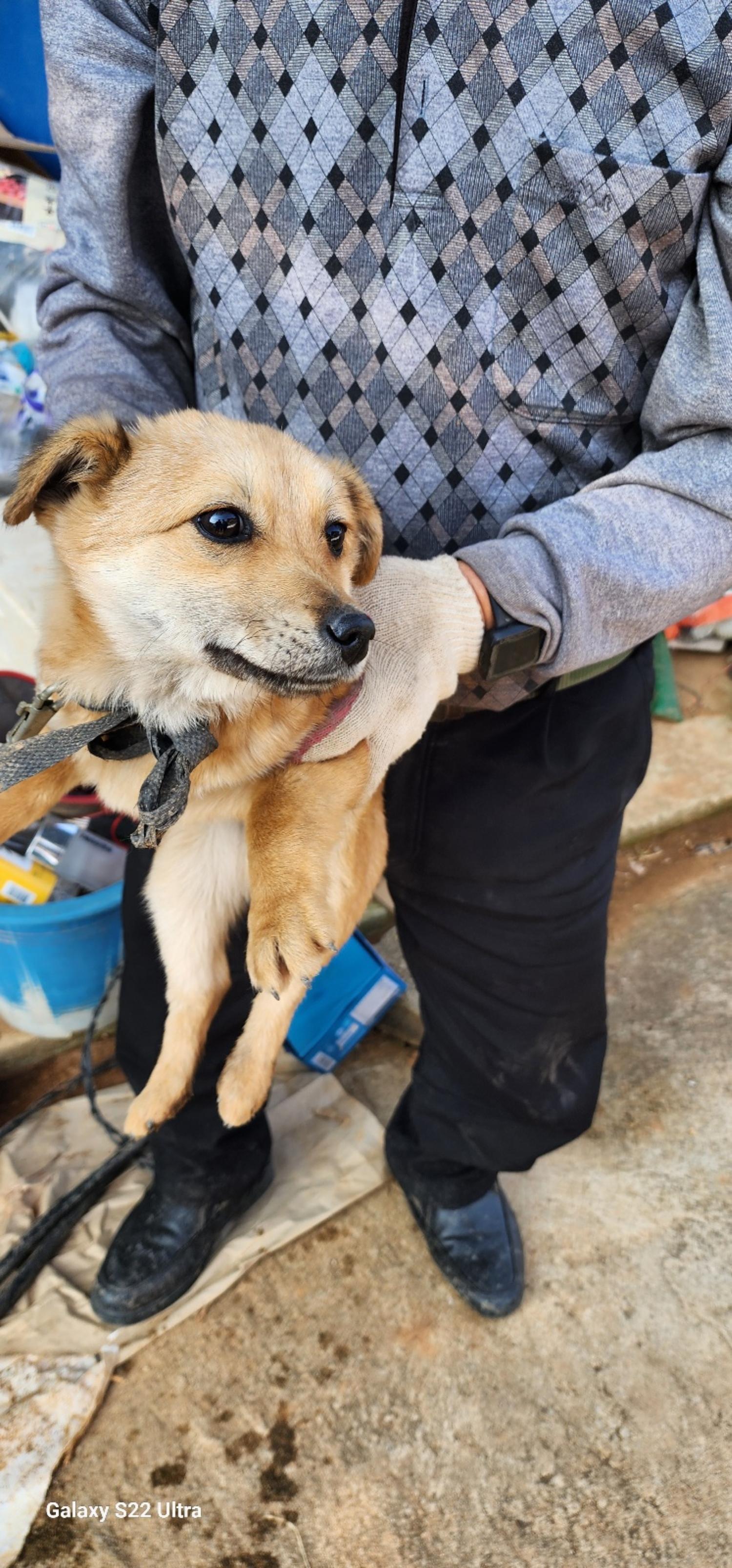 전북말산업복합센터_445471202500019