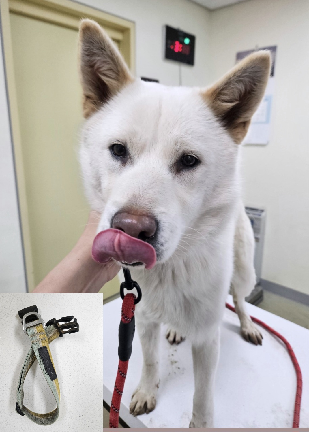 아산동물복지지원센터_444452202500083