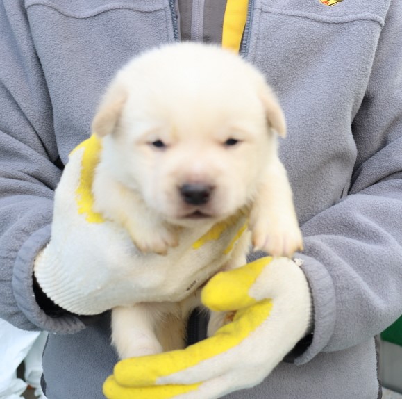 제주 동물보호센터_450650202500220
