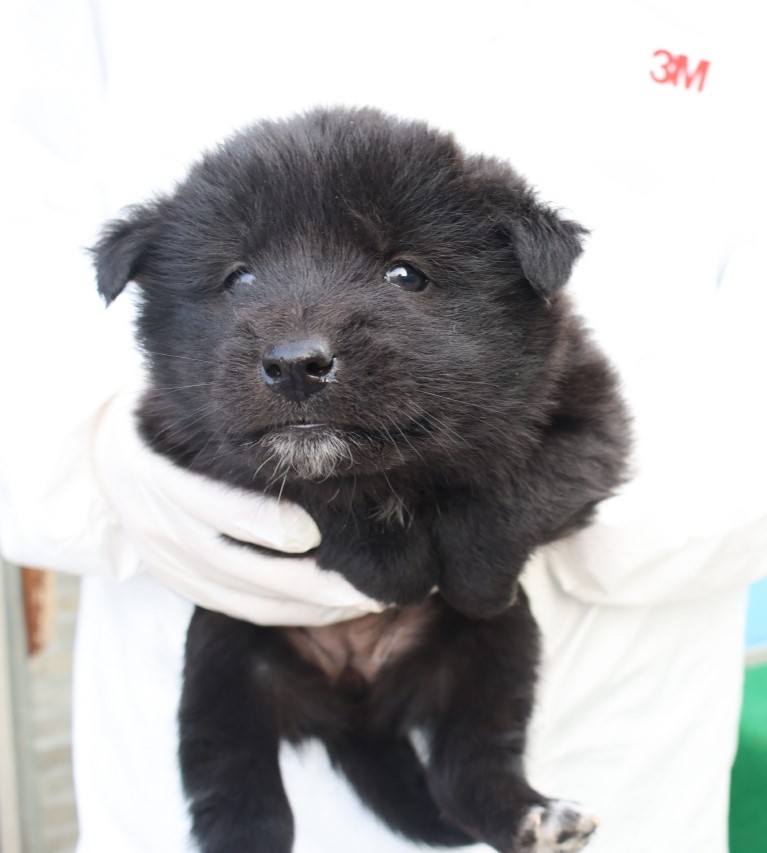 제주 동물보호센터_450650202500212