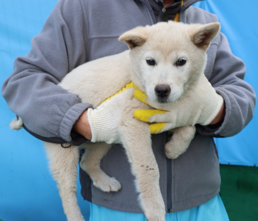 제주 동물보호센터_450650202500226