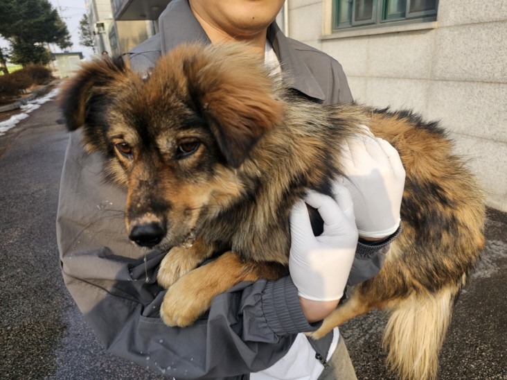 철원군_442430202500011