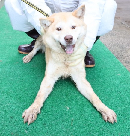 제주 동물보호센터_450650202500223