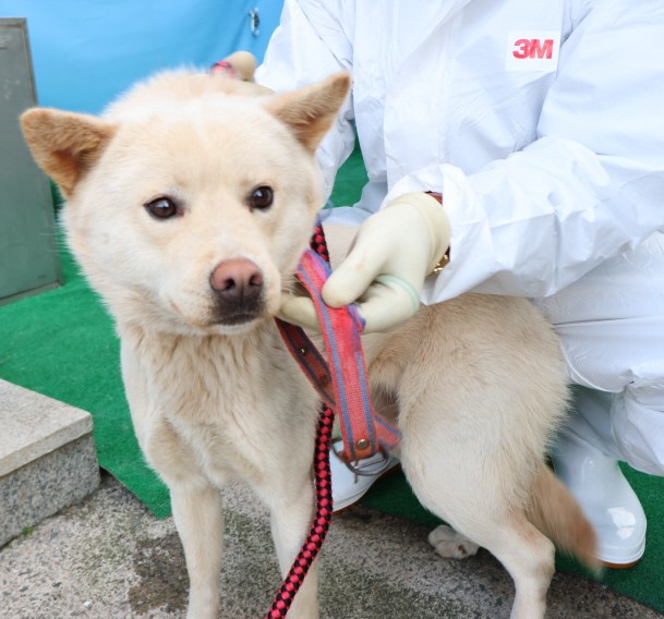 제주 동물보호센터_450650202500224