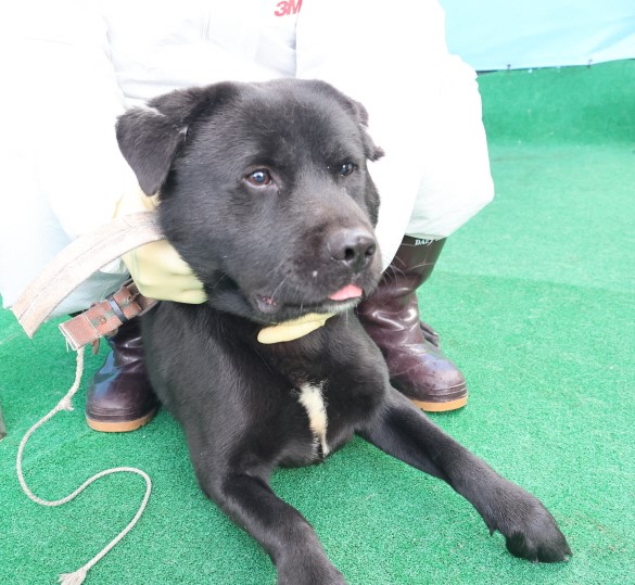 제주 동물보호센터_450650202500213