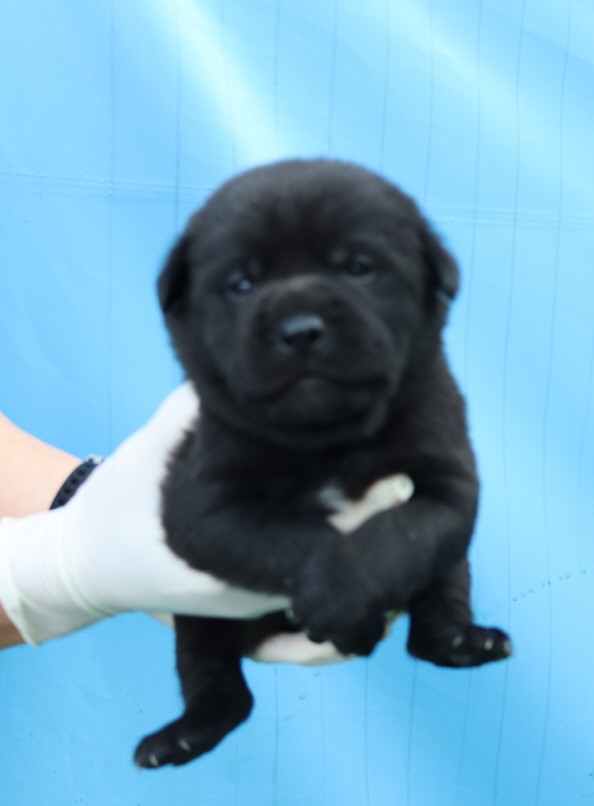제주 동물보호센터_450650202500216