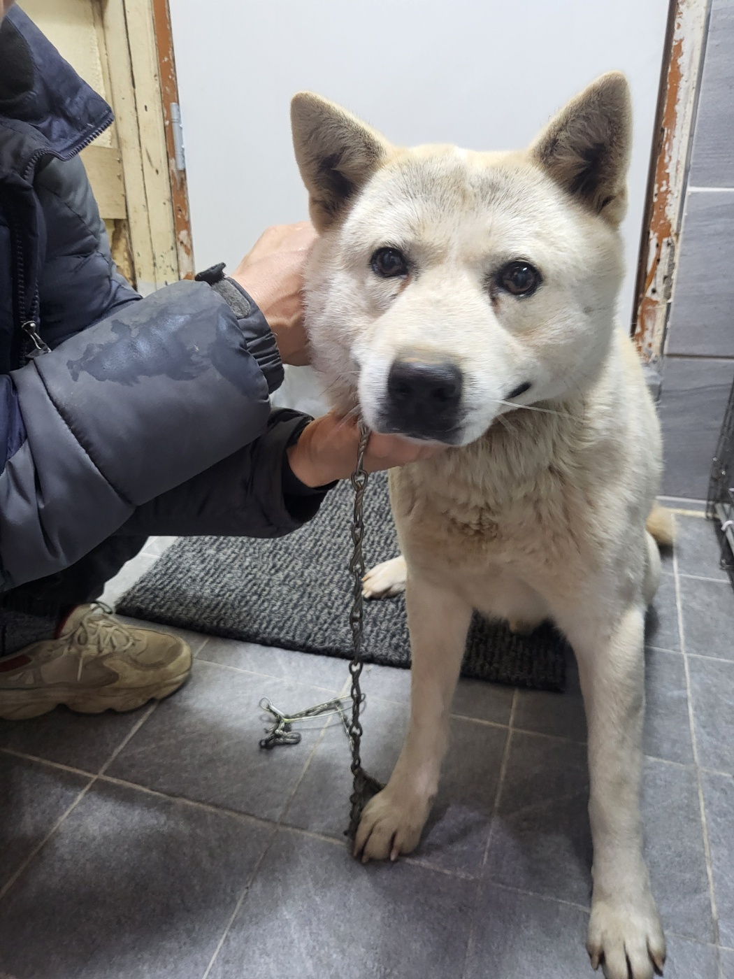 이성준동물병원_441408202500041