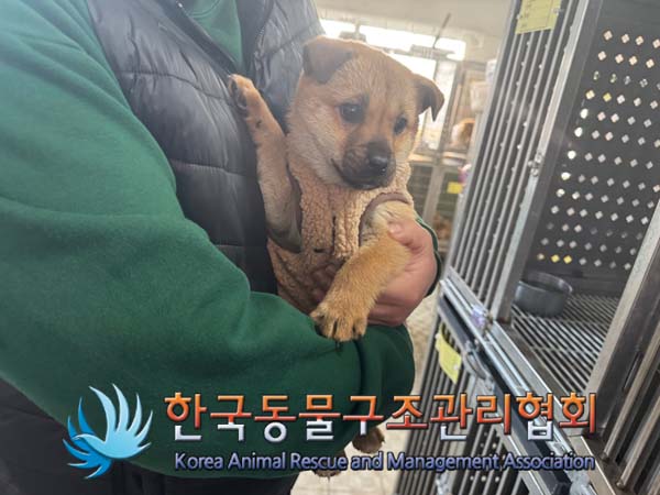 한국동물구조관리협회_441409202500067