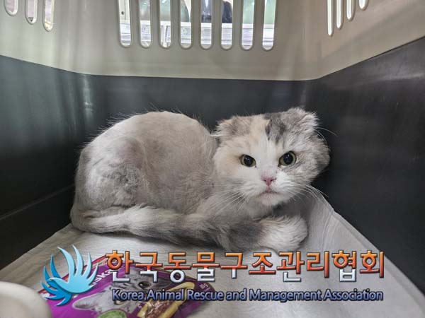 한국동물구조관리협회_441398202500011