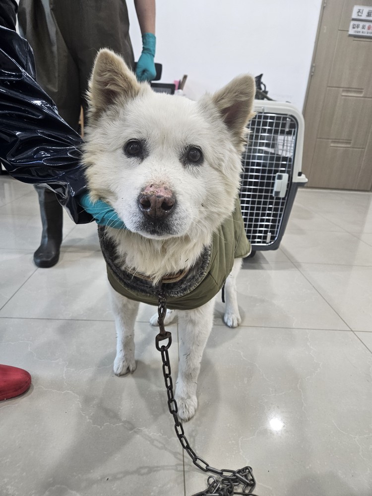 반려동물보호센터_443571202500050