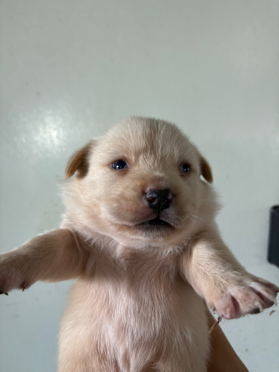 더나은동물병원_445478202500038
