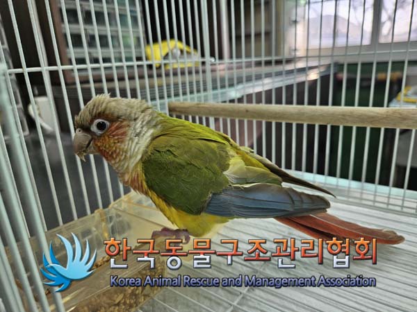 한국동물구조관리협회_411316202500006