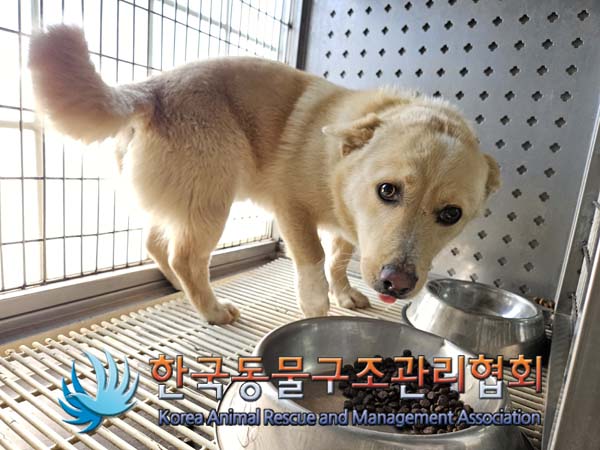 한국동물구조관리협회_441409202500076
