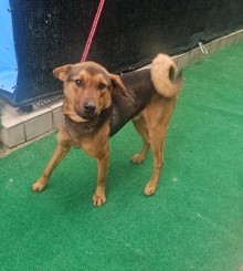 제주 동물보호센터_450650202500231