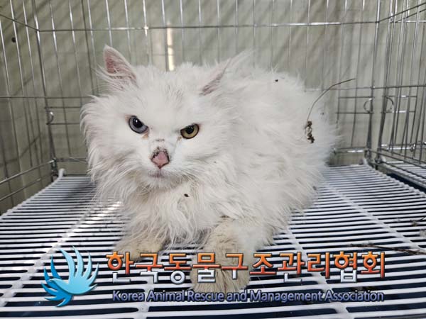 한국동물구조관리협회_441406202500038