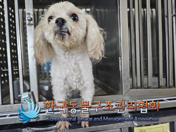 한국동물구조관리협회_441382202500019