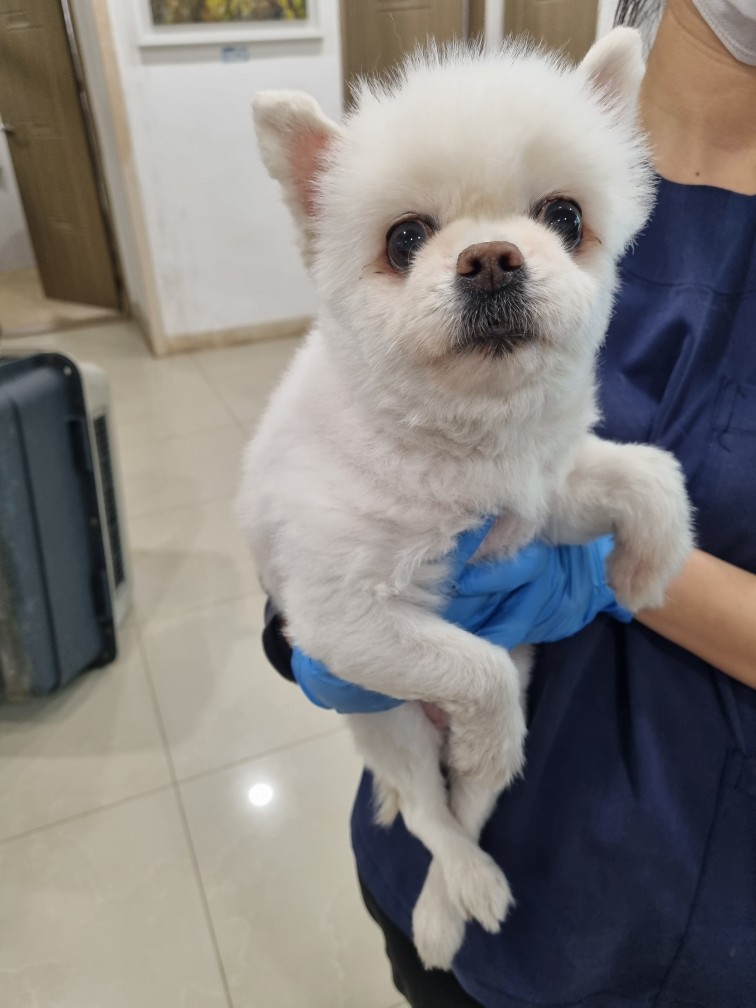 반려동물보호센터_443571202500055