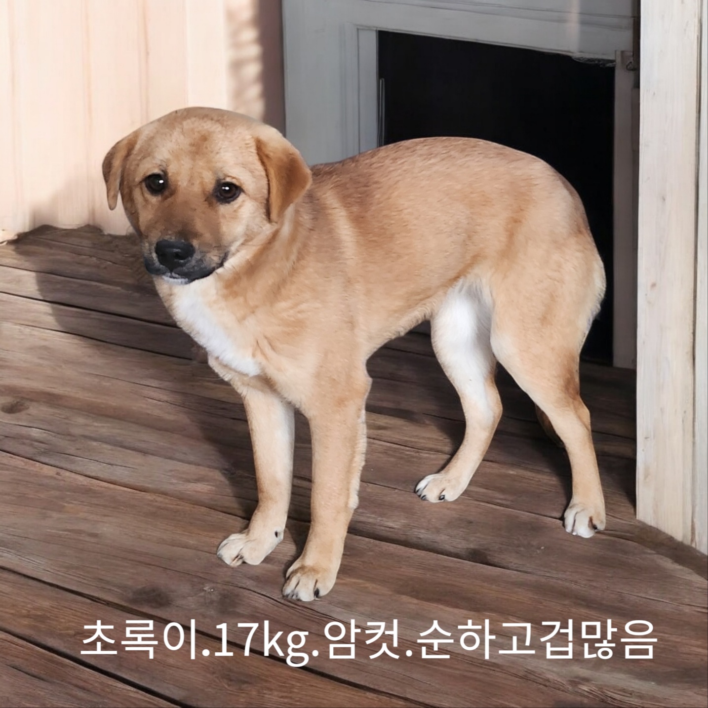 보호중 기타의 가족…