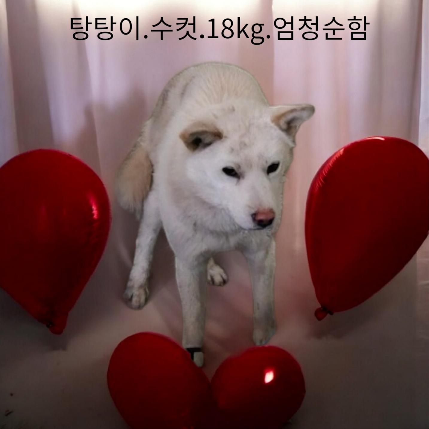 보호중 기타의 가족…