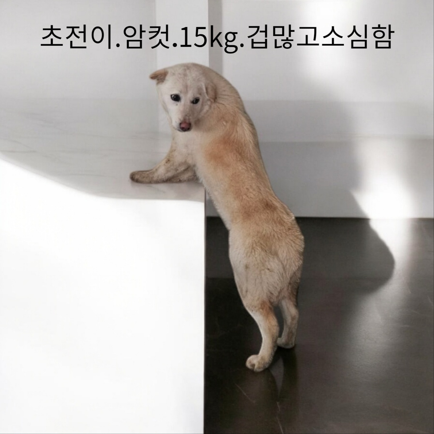 보호중 기타의 가족…