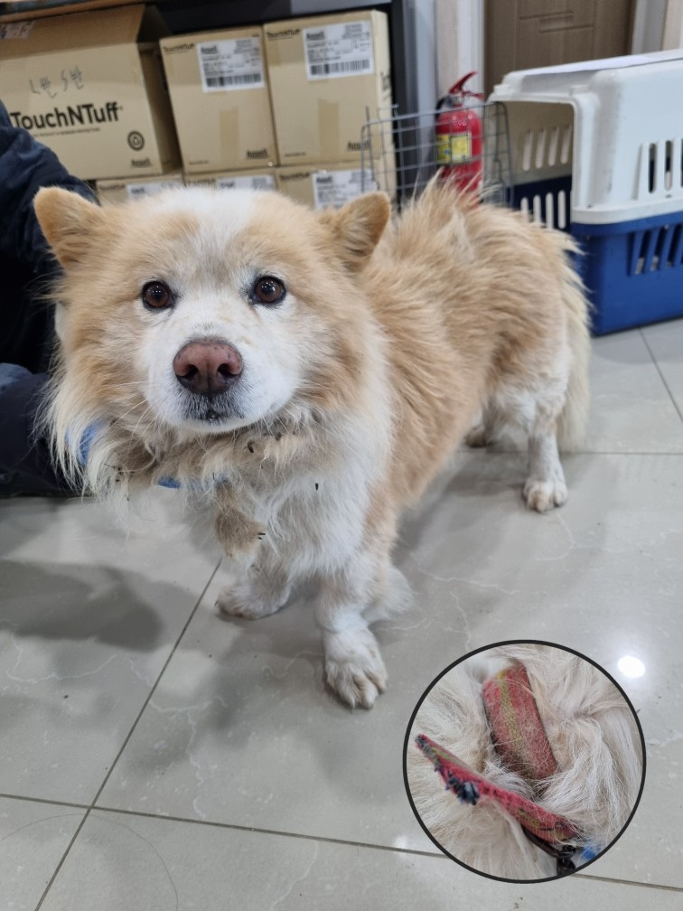 반려동물보호센터_443571202500057