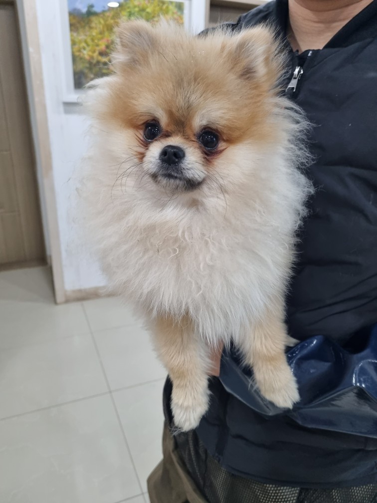 반려동물보호센터_443571202500060