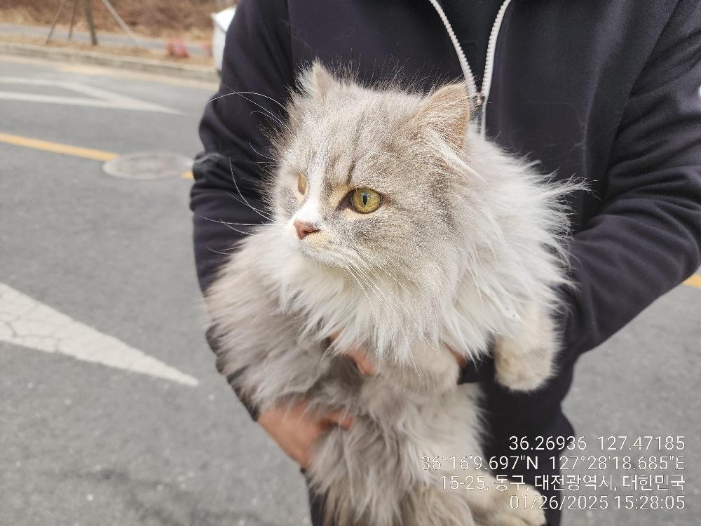 대전동물보호센터_430364202500019