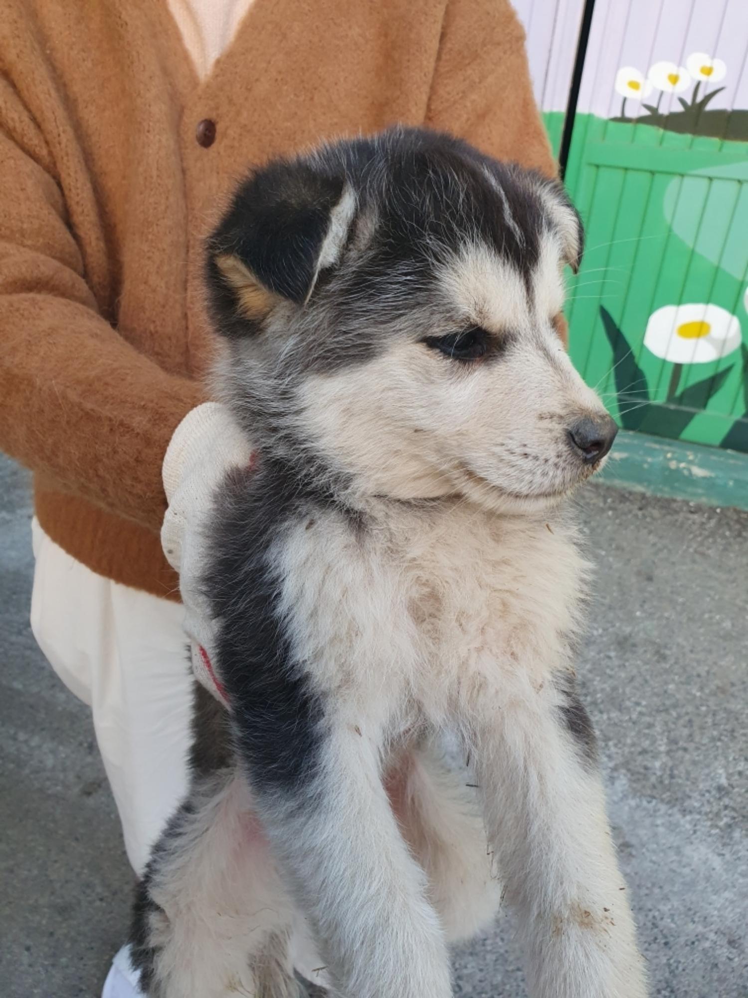 최종주동물병원_443444202500024