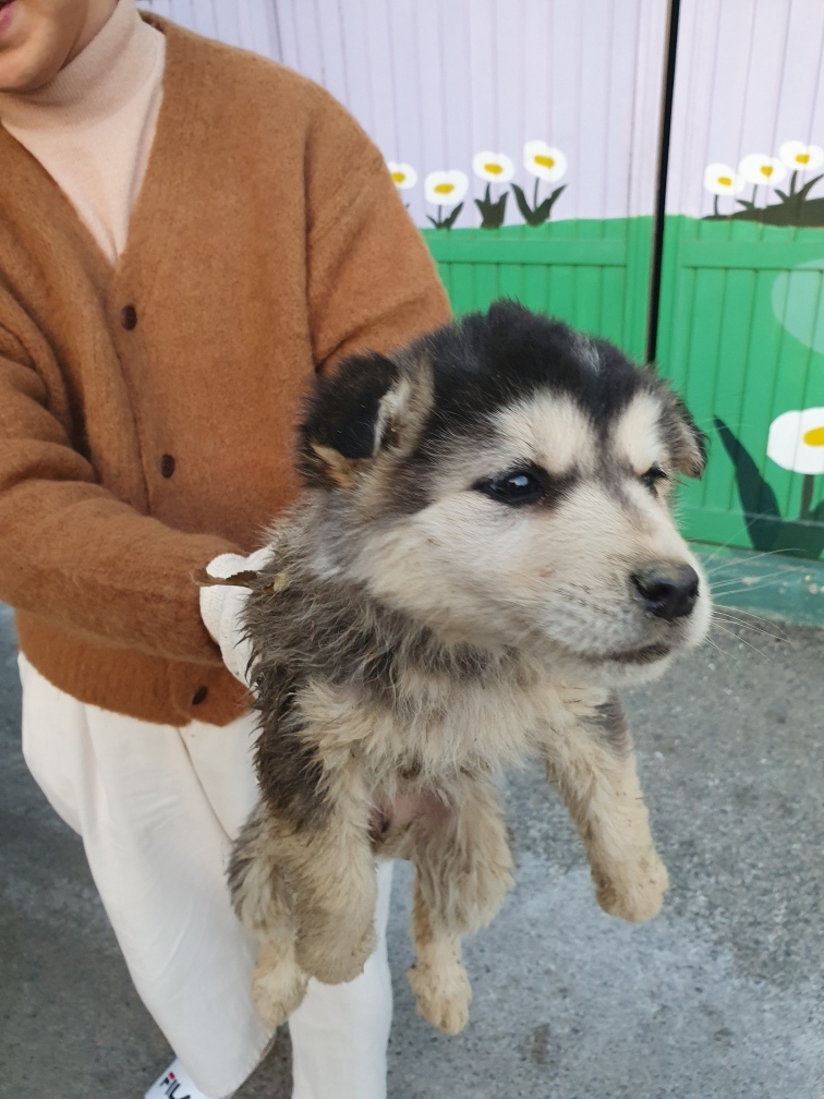 최종주동물병원_443444202500023