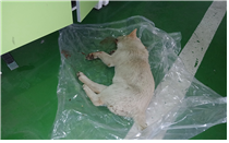 (사)동물보호관리협회_448535202500036