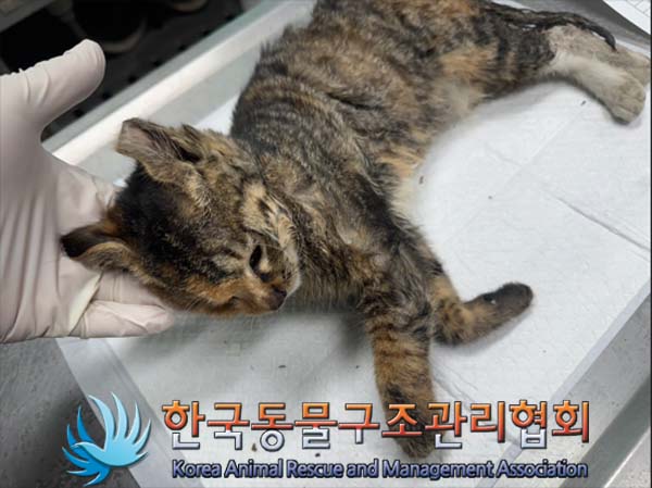 종료(자연사) 한국…