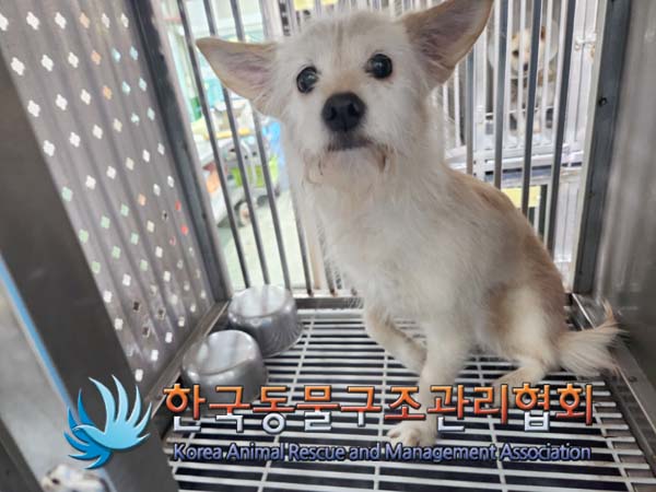 한국동물구조관리협회_411307202500008