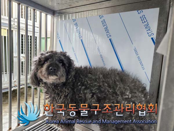 한국동물구조관리협회_411307202500006