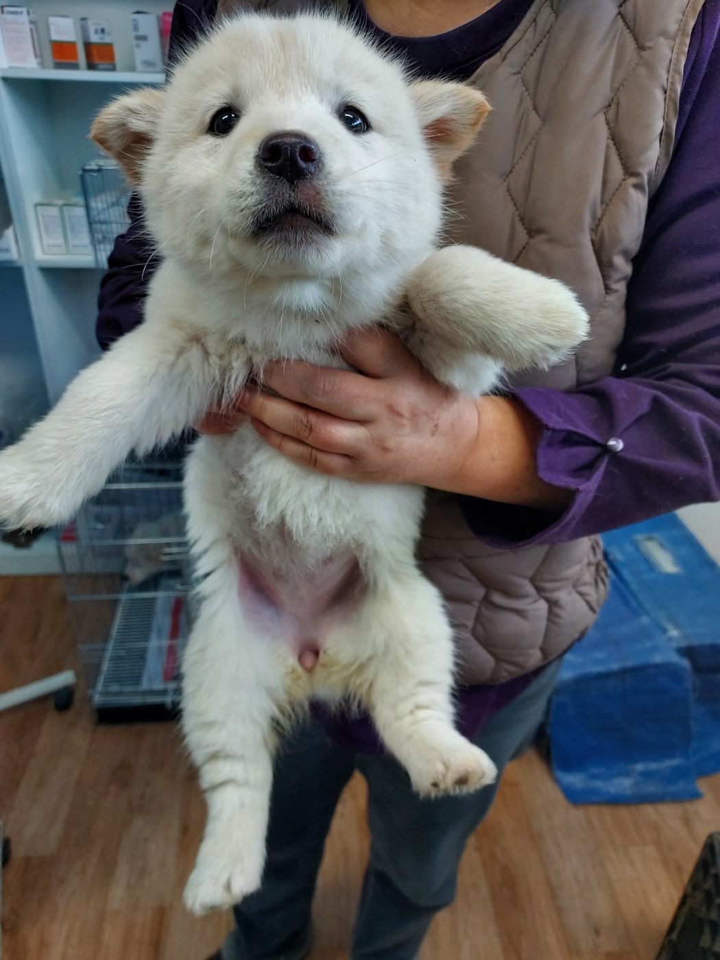 인월동물병원_445470202500030