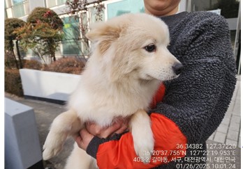 대전동물보호센터_430366202500015