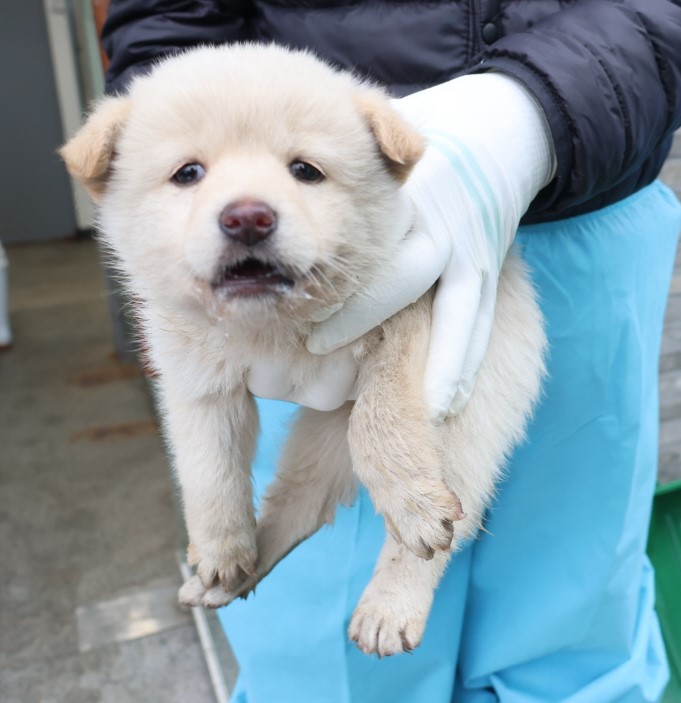 제주 동물보호센터_450650202500253