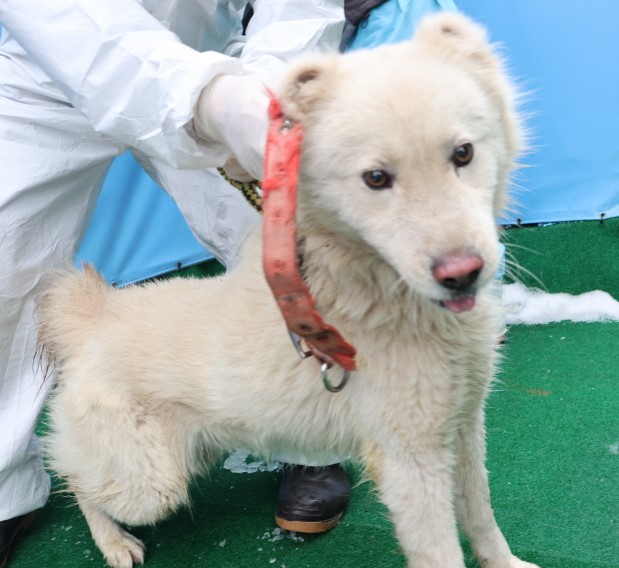 제주 동물보호센터_450650202500250