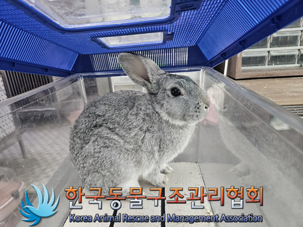한국동물구조관리협회_411323202500008