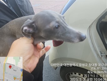 대전동물보호센터_430367202500035