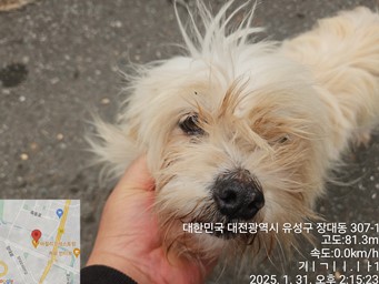 대전동물보호센터_430367202500033