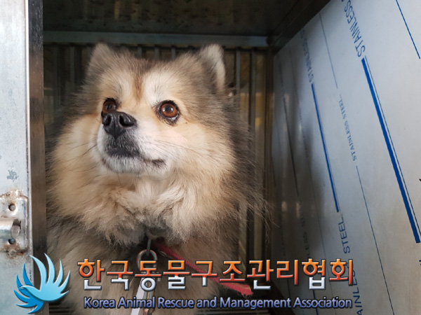 한국동물구조관리협회_441392202500011