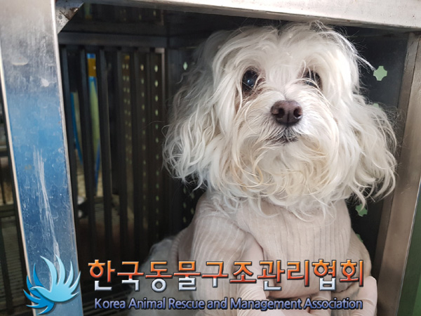 한국동물구조관리협회_441398202500013